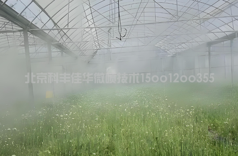 ?廣東農(nóng)業(yè)溫室大棚噴霧降溫系統(tǒng)方案