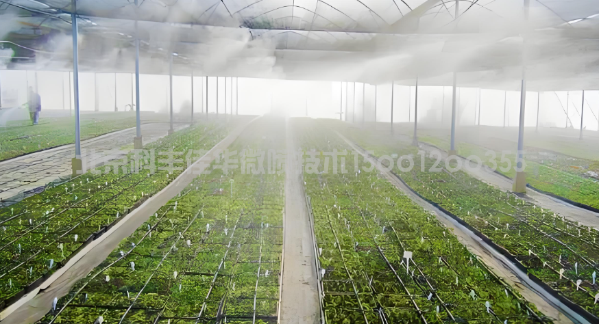 河南鄭州花卉種植溫室噴霧加濕系統(tǒng)應(yīng)用案例